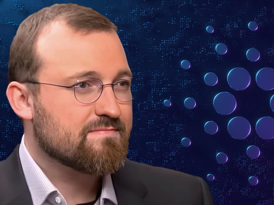 موضع‌گیری هاسکینسون درباره قرارگیری بیت‌کوین در سبد ارزی ایالات متحده آمریکا - اخبار امروز 12 آگوست