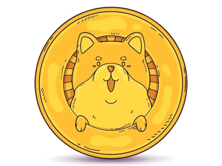 ارز دیجیتال فلوکی اینو چیست؟