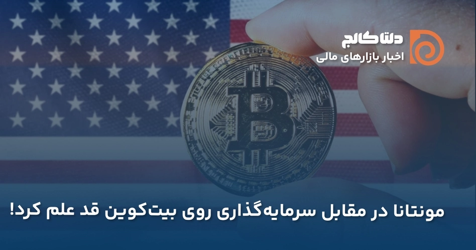 مونتانا و ذخیره بیت کوین